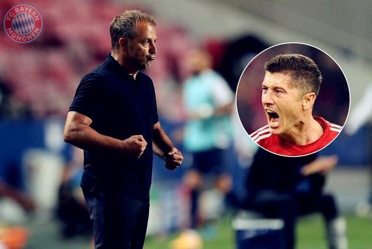 提供了堅實 提供了堅實