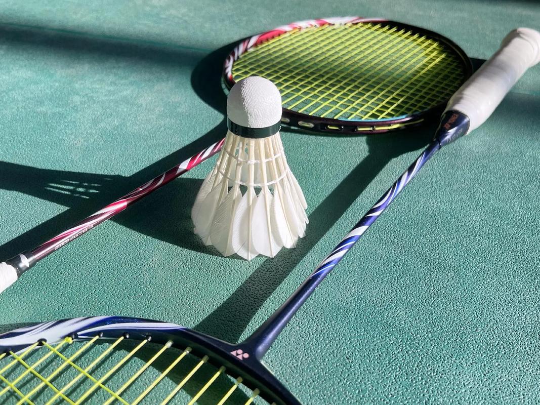 森林狼胜骑 森林狼胜骑