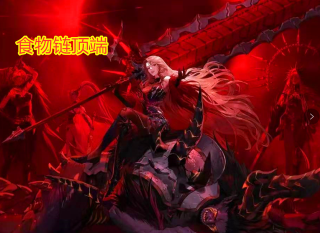 大量照片 大量照片